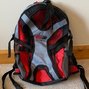 Red and Gray Backpack